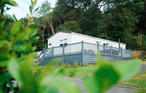 Foxglove Lodge — 4-Star Luxury Hotel in New Quay, United Kingdom
