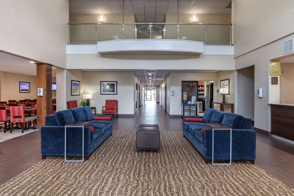 Comfort Suites Houston near Medical Center NRG Stadium - photo 5