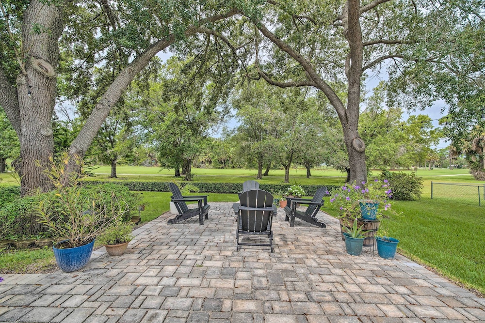 Crystal River Gem Near Three Sisters Springs — Crystal River