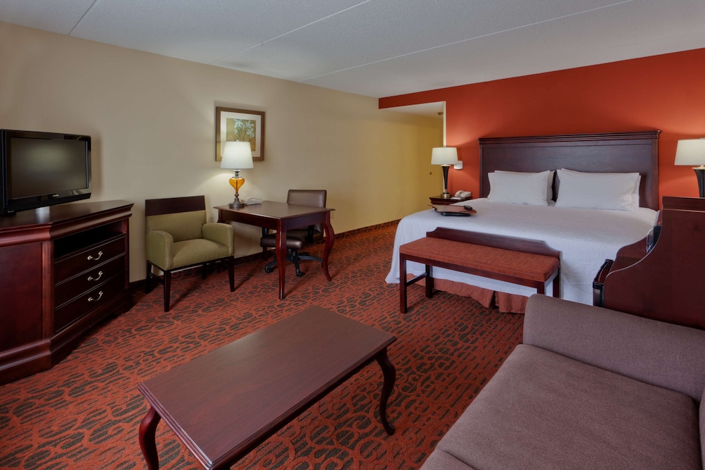 Hampton Inn Rochester Webster - photo 13