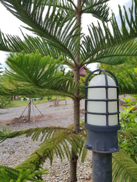 Nk Resort — hotel in Khao Kho