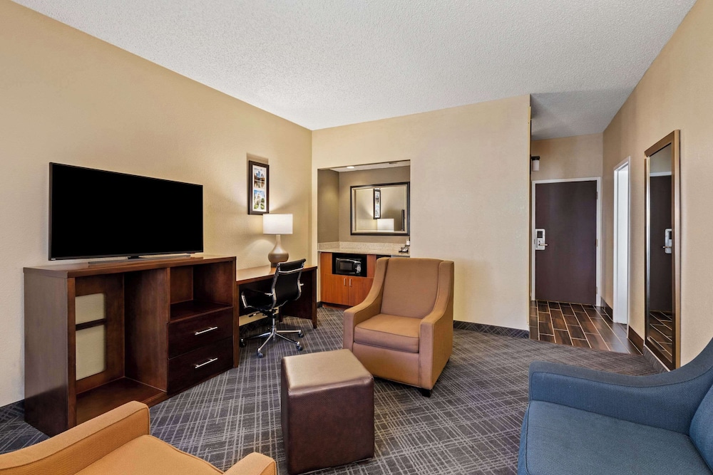 Comfort Inn Roswell Dunwoody - photo 20