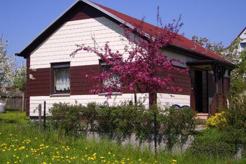 Waldblick — hotel in Waltershausen