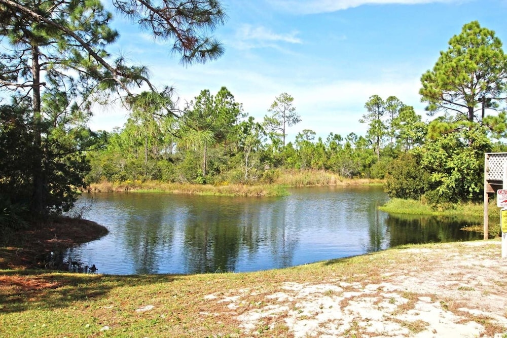 Palmetto 306 - photo 40