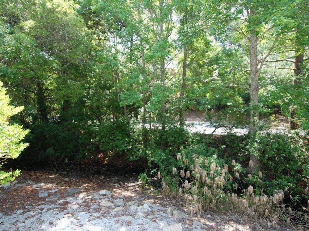 Tennismaster 1104 - photo 14