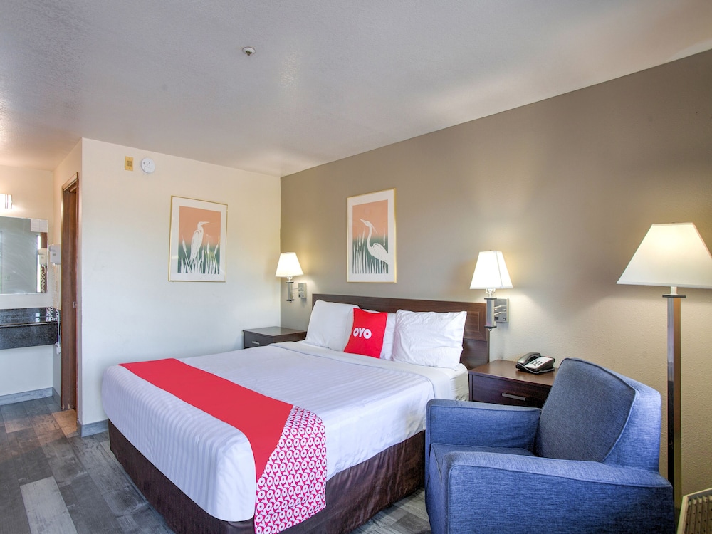 OYO Woodland Hotel and Suites - photo 9