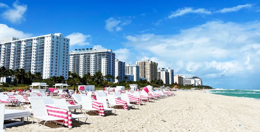 Private Residences at W SoBe by LRMB - photo 48