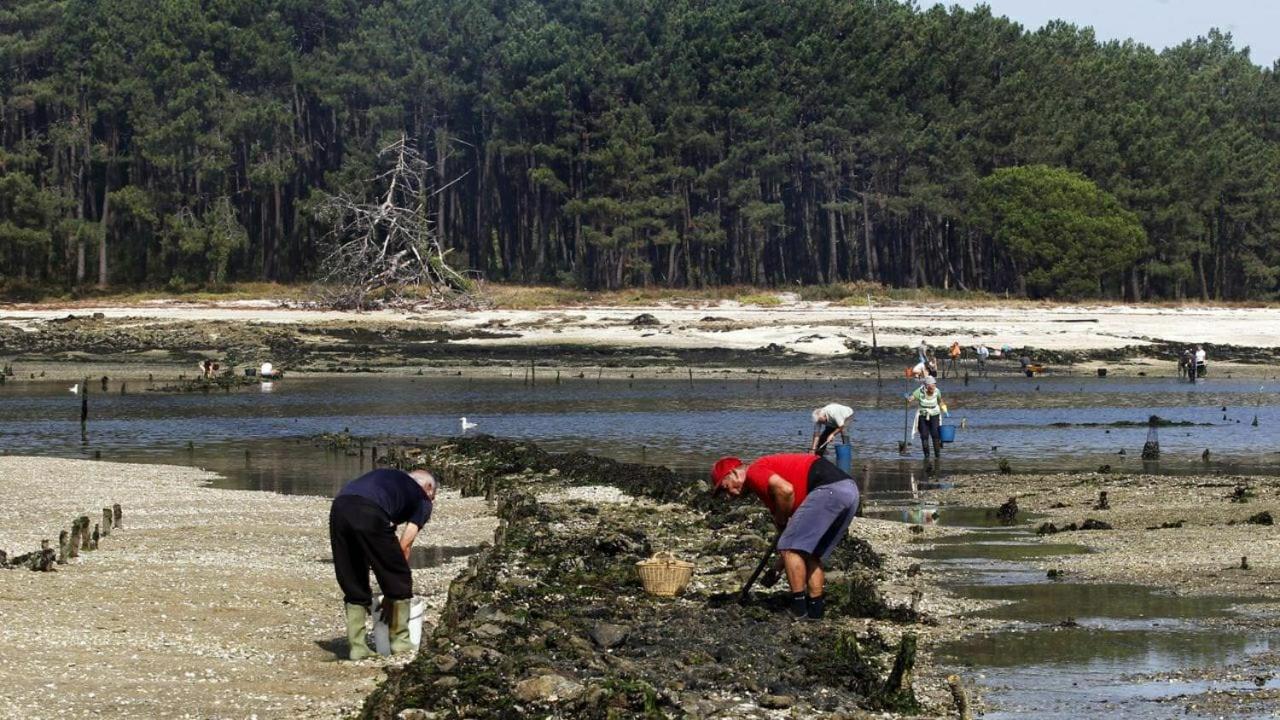 Casa Al Lado Del Mar 15340513 — Vilagarcia De Arousa