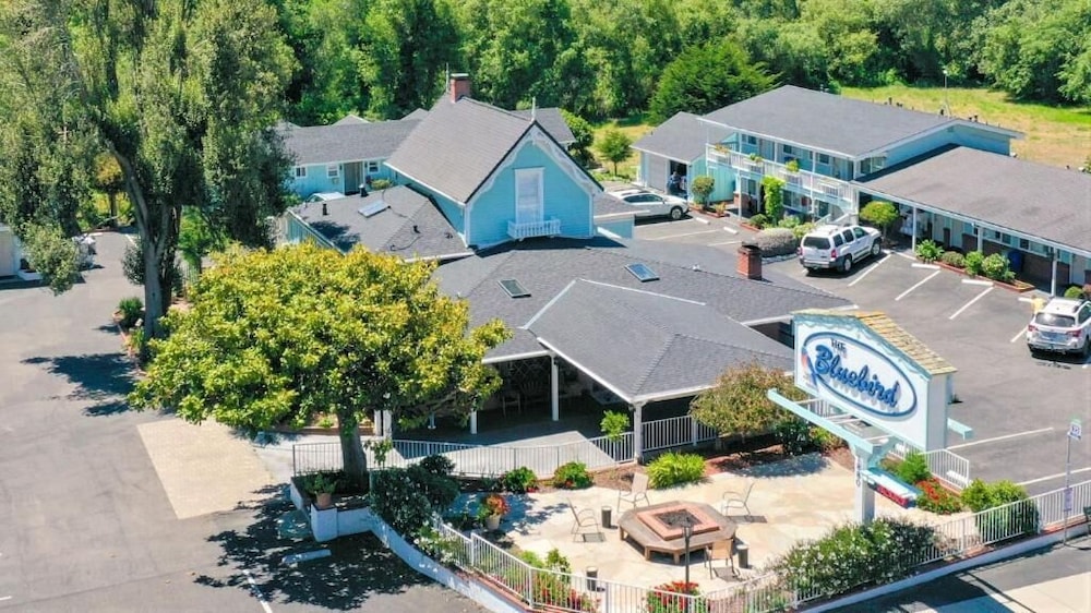 Bluebird Inn - photo 34