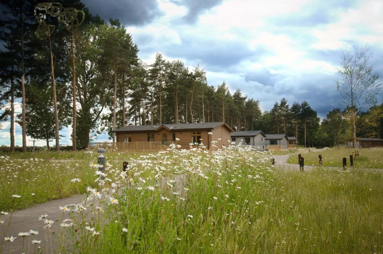 Hollicarrs Pinewood Lodge