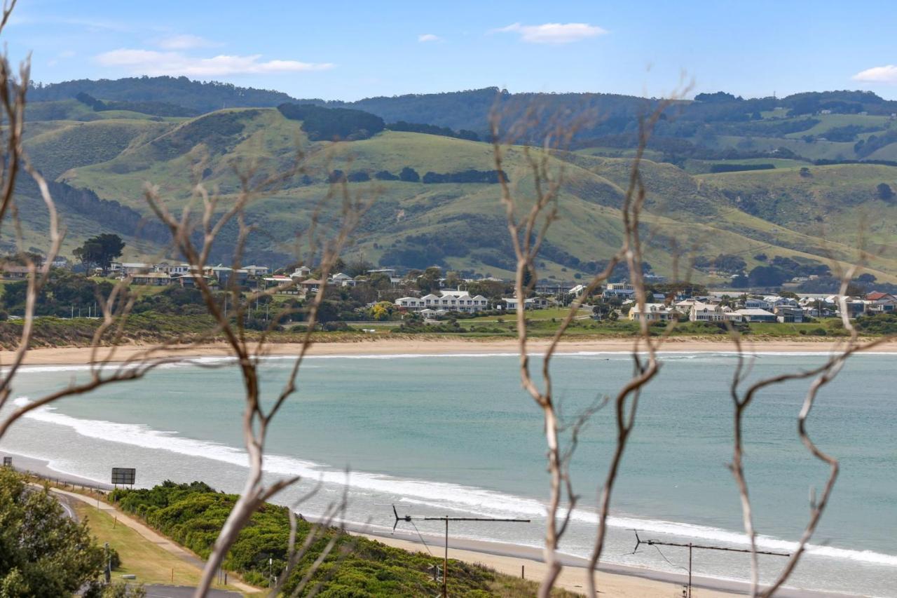 Coleridge in Apollo Bay, Australia