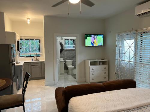 Luxury Studio Rooftop Pool n View unit #4 in Falmouth, Jamaica