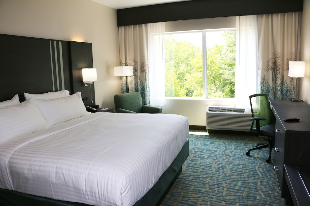 Holiday Inn Express & Suites Hendersonville SE Flat Rock by IHG - photo 2