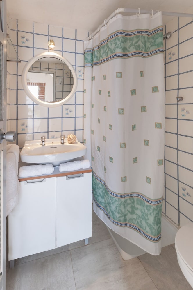 Malva in Oliva, Spain