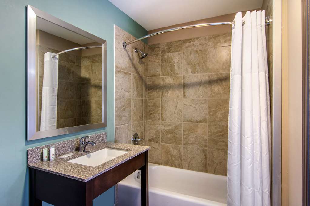 Clarion Inn & Suites Atlanta Downtown - photo 19