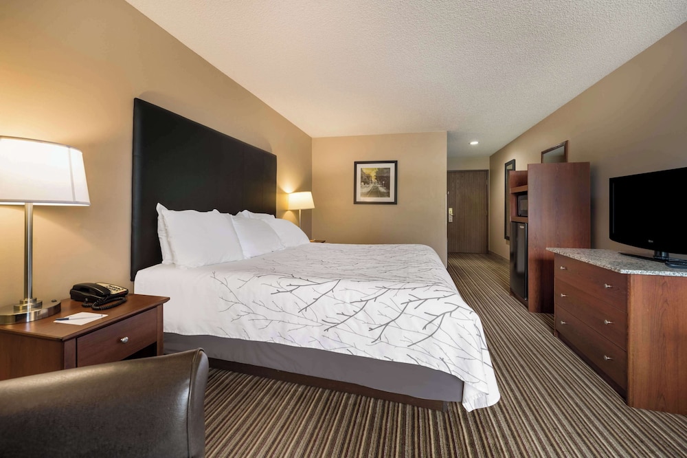 Best Western Park Oasis Inn - photo 18