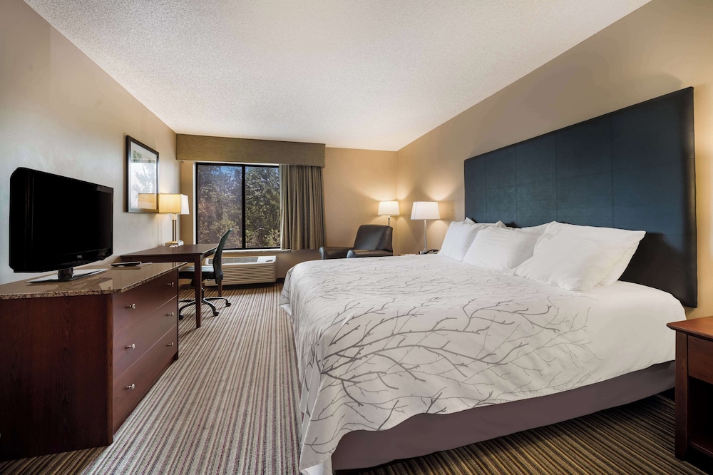 Best Western Park Oasis Inn - photo 17