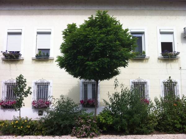 Szivrvny Panzi in Szeged, Hungary