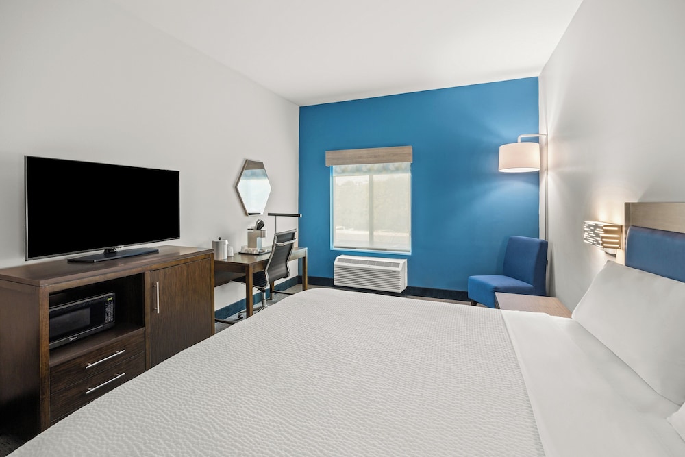 Holiday Inn Express Asheville Woodfin by IHG - photo 13