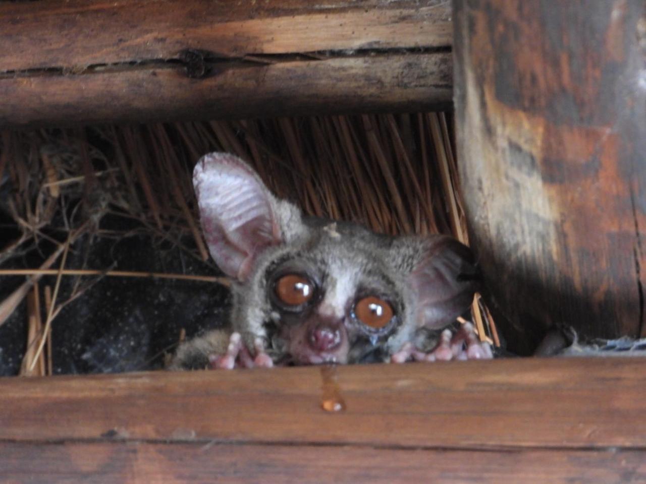 Carpe Diem Self Catering Cotta in Nelspruit, South Africa