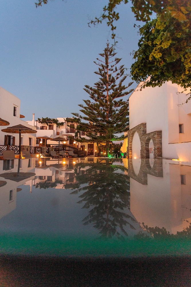 Hotel Anemomilos - last minute hotel in Naxos