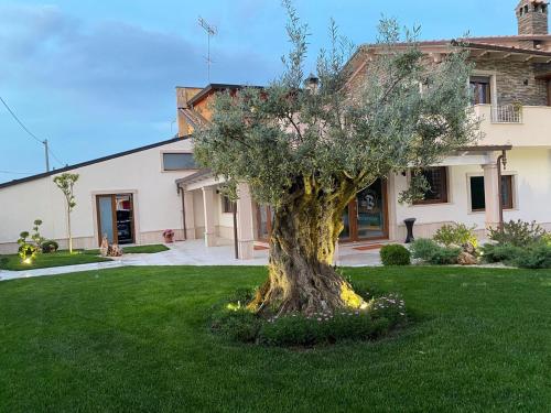 Balneum Rooms & SPA — hotel in Mirabella Eclano
