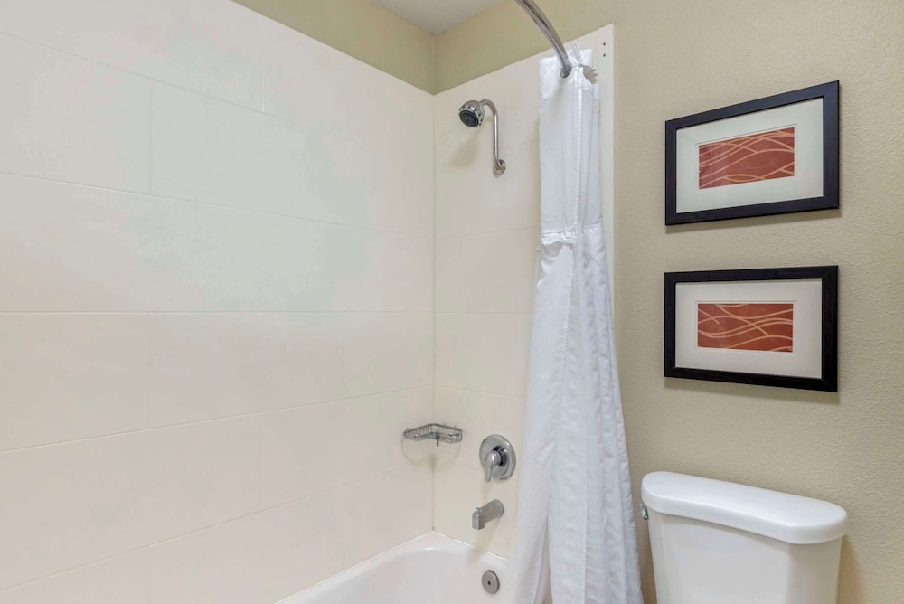 Comfort Inn & Suites Rocklin Roseville - photo 11