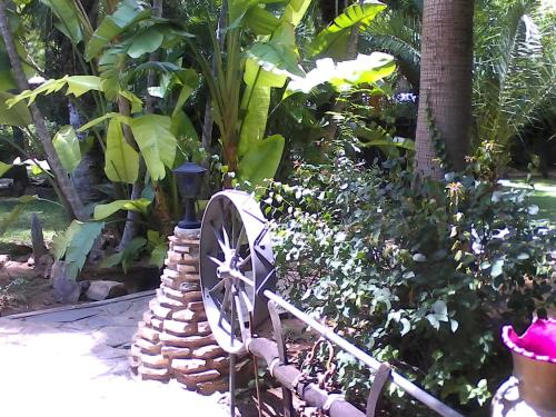 Etosha Garden in Outjo, Namibia