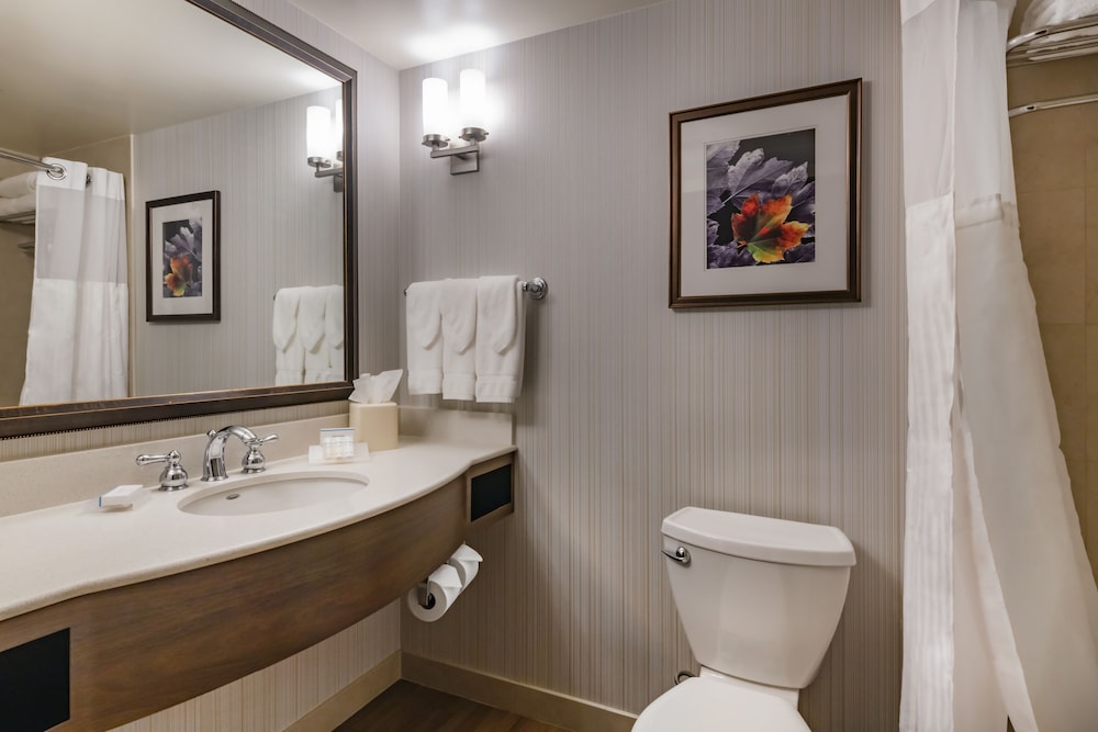 Hilton Garden Inn Devens Common - photo 21