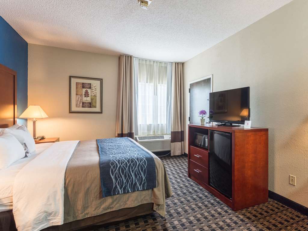 Comfort Inn Decatur Priceville - photo 11