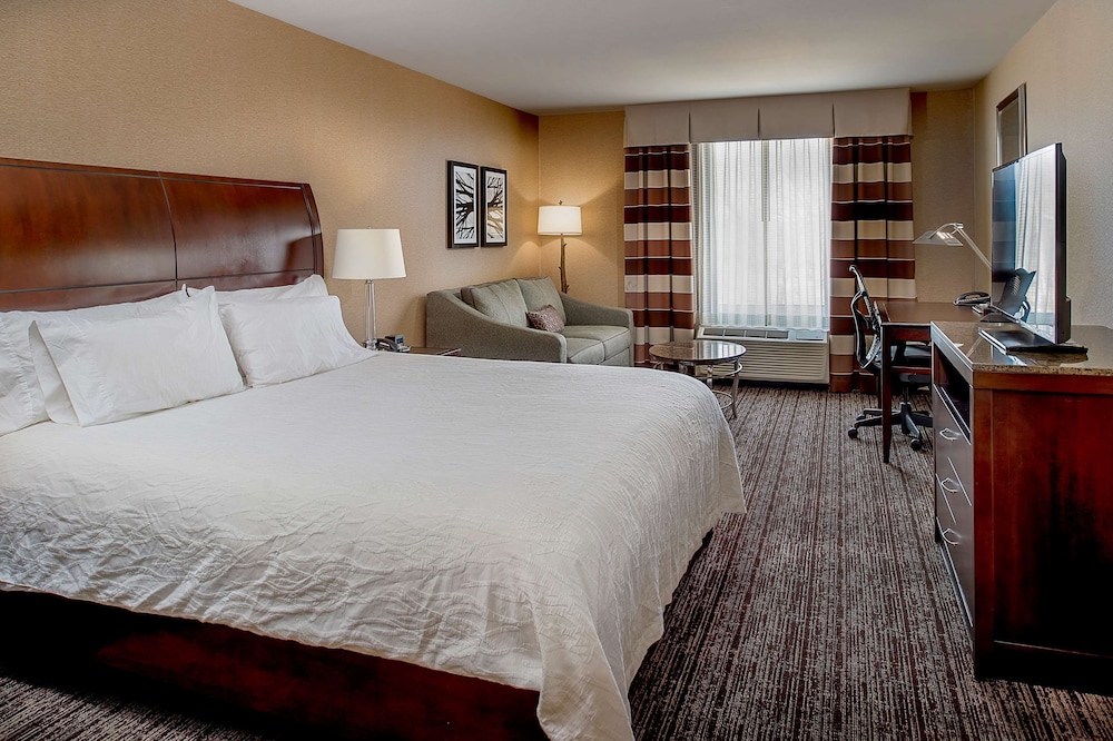 Hilton Garden Inn St. Louis Airport - photo 8