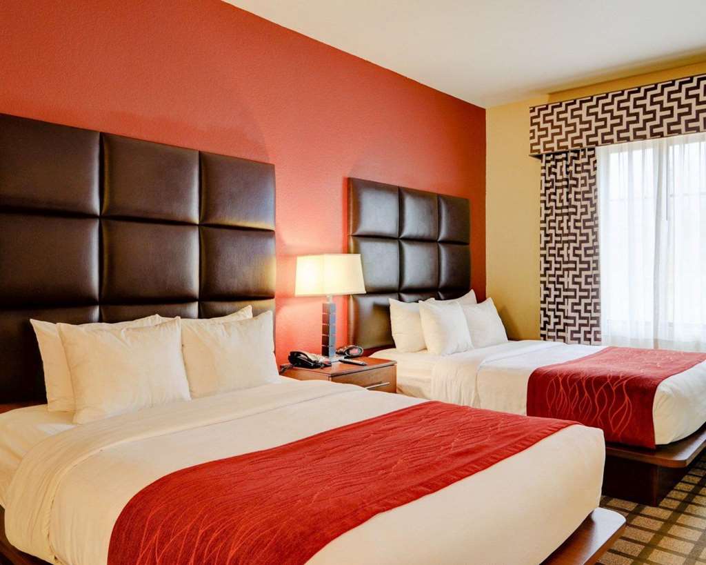 Comfort Inn & Suites Fort Smith I 540 - photo 49