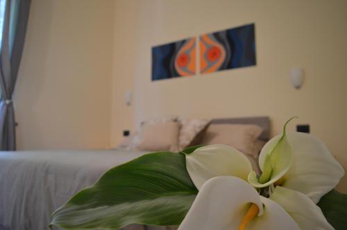 Il Rivolo — 4-Star Luxury Hotel in Sorrento, Italy