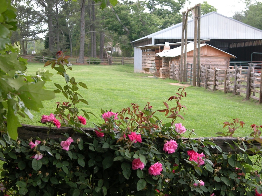 Seventy four Ranch - photo 47