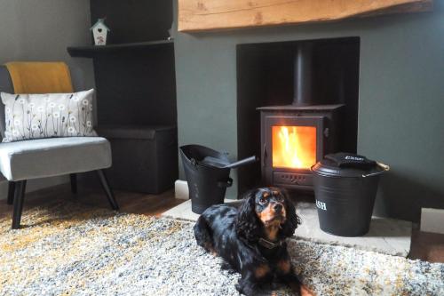 Large Cottage Beach Pubs Shops Netflix BBQ Dog Friendly
