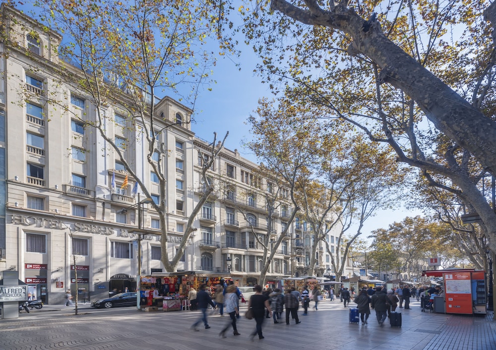 מראה חיצוני