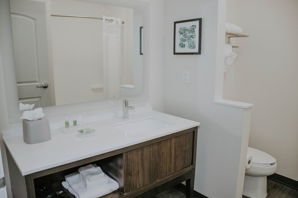 Holiday Inn Omaha Downtown Waterpark by IHG - photo 23