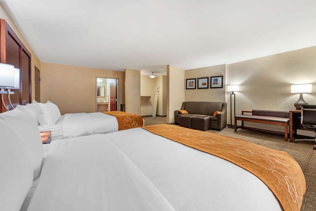Comfort Suites Elkhart South - photo 12