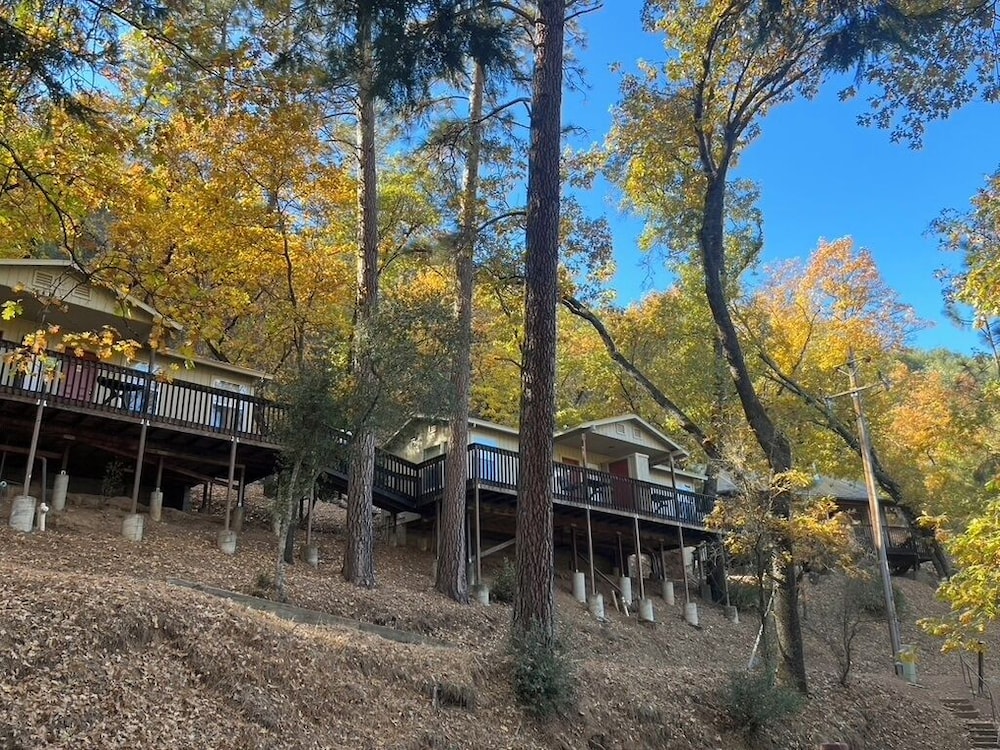 Yosemite Bug Rustic Mountain Resort - photo 141