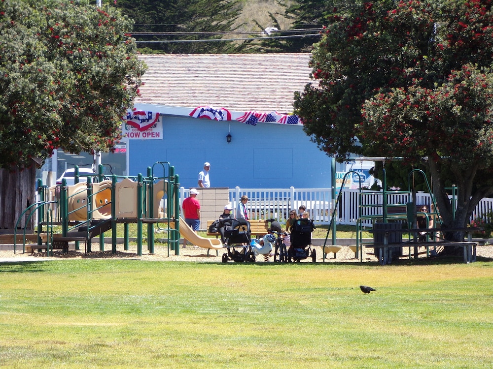 Cypress Tree Motel - photo 90
