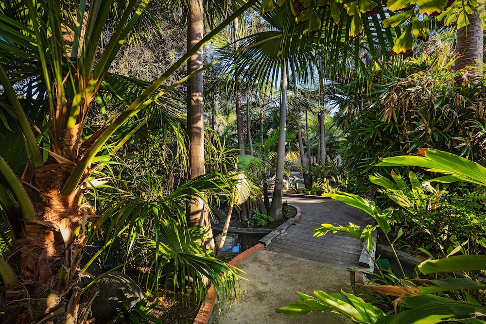 Bahia Resort Hotel - photo 108