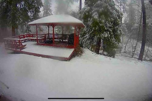 Forest Cabin by China Creek — 4-Star Luxury Hotel in Oakhurst, United States
