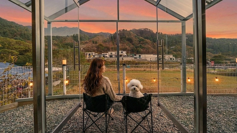 Gapyeong Ddobagi Pet & Spa Glamping in Gapyeong, South Korea