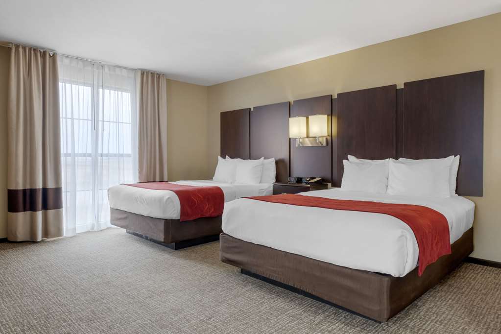 Comfort Suites and Conference Center - photo 22