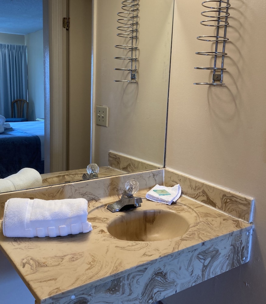 Altamonte Springs Hotel and Suites - photo 18