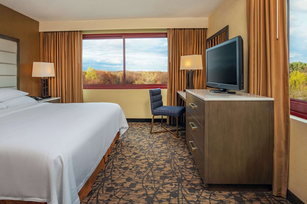 Embassy Suites by Hilton Boston Waltham - photo 27