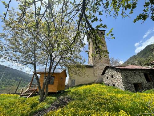 Lavdila in Mest'ia, Georgia