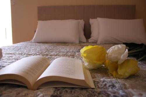 Studio Apartman Ana in Sibenik, Croatia