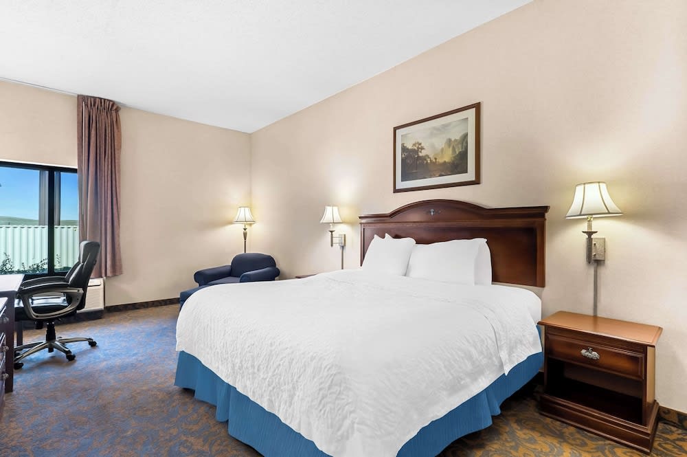 Hotel Cheyenne - photo 23