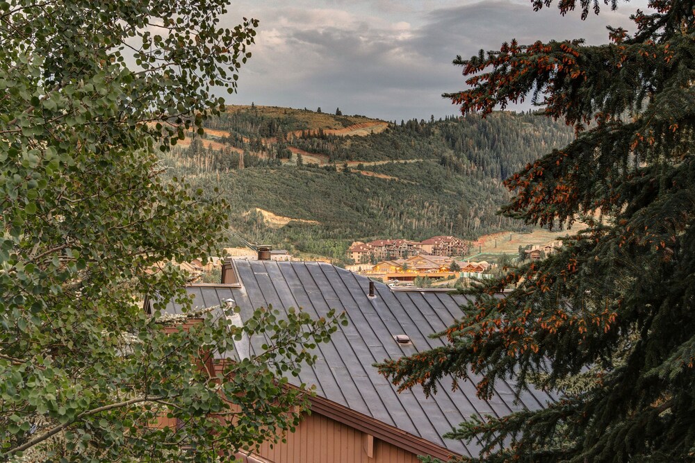 Abode at Pinnacle - photo 34